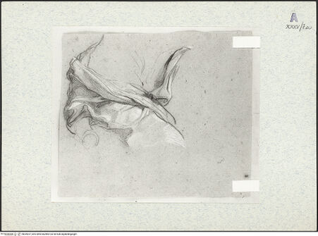 Vorderseite von bh309357_recto