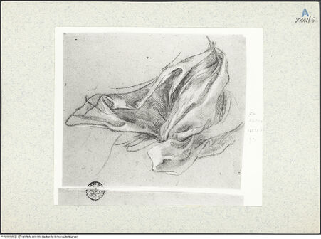 Vorderseite von bh309364_recto