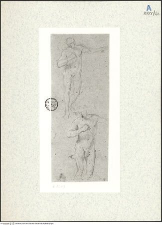 Vorderseite von bh309368_recto