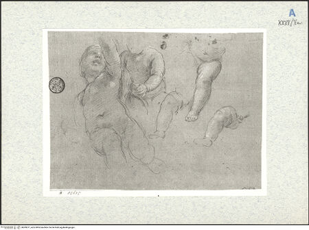 Vorderseite von bh309371_recto