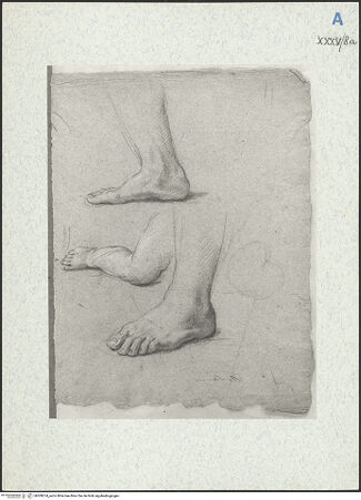 Vorderseite von bh309374_recto