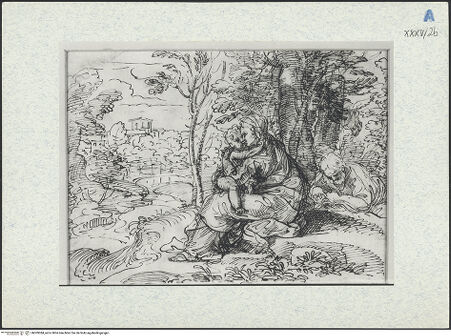 Vorderseite von bh309384_recto