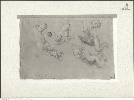 Vorderseite von bh309396_recto