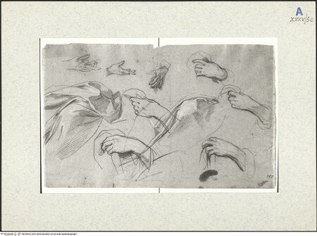 Vorderseite von bh309402_recto