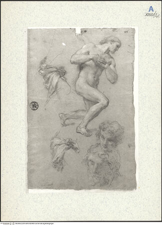 Vorderseite von bh309403_recto