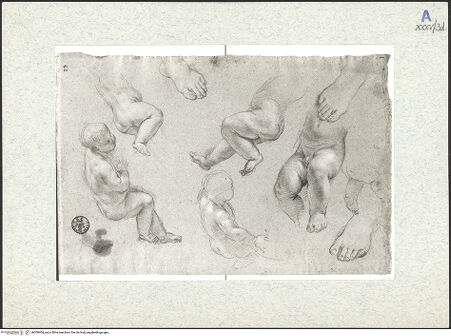 Vorderseite von bh309404_recto