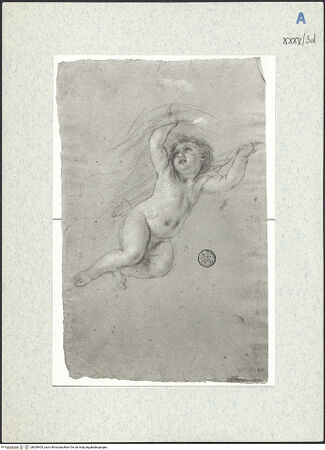 Vorderseite von bh309405_recto