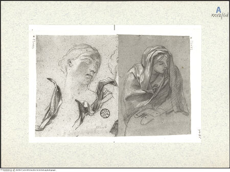 Vorderseite von bh309417_recto