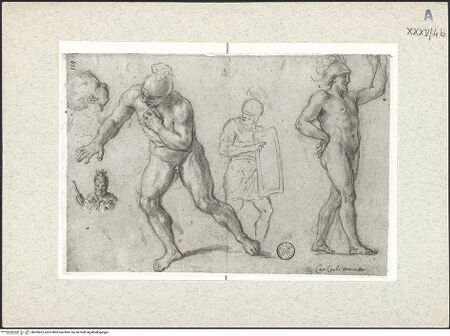 Vorderseite von bh309422_recto