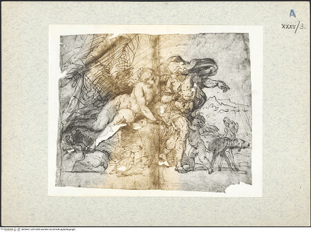 Vorderseite von bh309427_recto