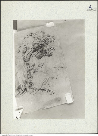 Vorderseite von bh309443_recto