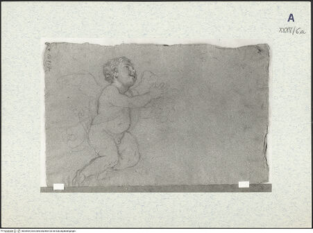 Vorderseite von bh309445_recto