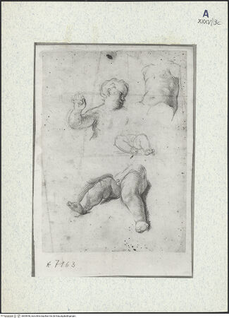 Vorderseite von bh309446_recto