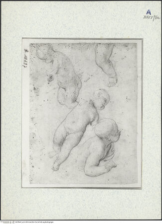 Vorderseite von bh309447_recto