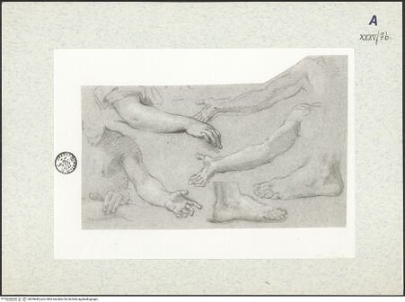 Vorderseite von bh309449_recto