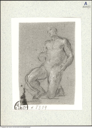 Vorderseite von bh309451_recto