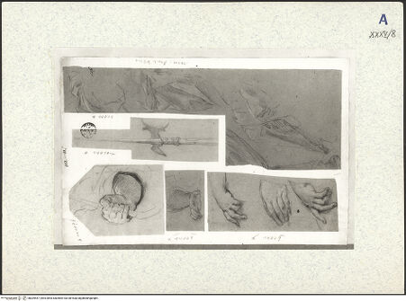 Vorderseite von bh309457_recto