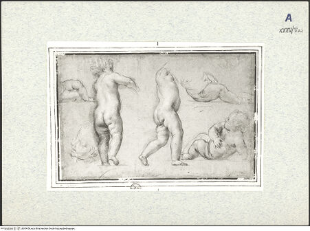 Vorderseite von bh309458_recto