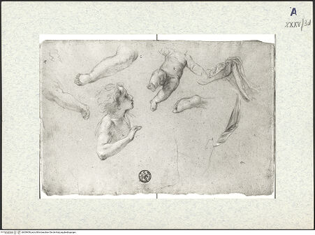 Vorderseite von bh309459_recto