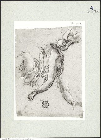 Vorderseite von bh309460_recto