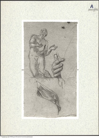 Vorderseite von bh309463_recto