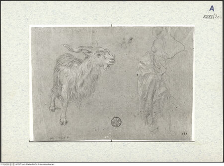 Vorderseite von bh309471_recto