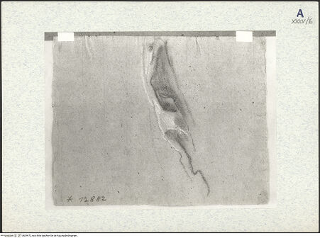 Vorderseite von bh309472_recto