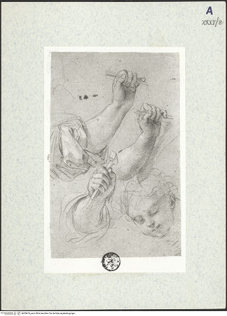 Vorderseite von bh309476_recto