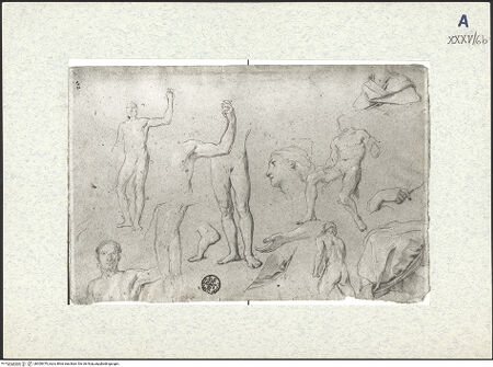 Vorderseite von bh309479_recto