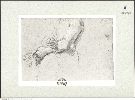 Vorderseite von bh309482_recto