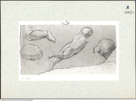 Vorderseite von bh309484_recto