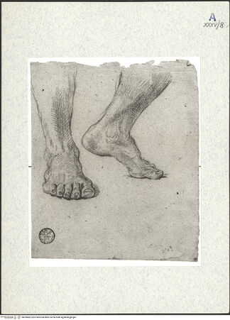 Vorderseite von bh309485_recto