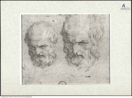 Vorderseite von bh309487_recto