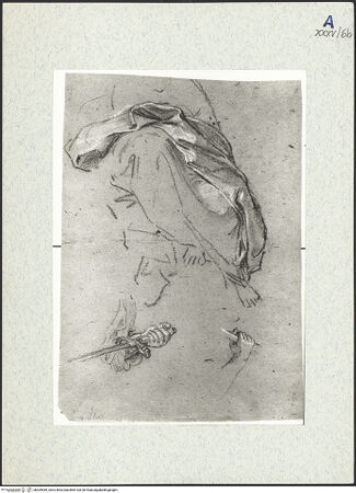 Vorderseite von bh309489_recto