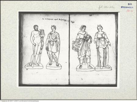 Vorderseite von bh309517-1_bh309517-2_recto