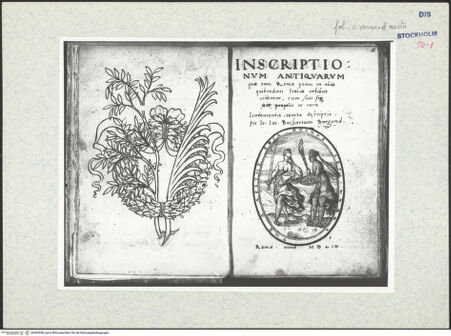 Vorderseite von Warburg Institute [https://www.deutsche-digitale-bibliothek.de/content/lizenzen/rv-ez/] Inscriptionum antiquarum (Codex Holmiensis)Lorbeerkranz und Zweige - rechts fol. d recto: Titelseite mit Vignette, bh309558_recto. Foto.
