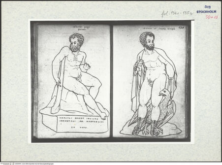 Vorderseite von bh309591_recto