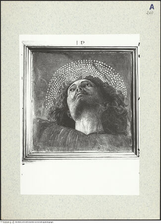 Vorderseite von bh309805_recto