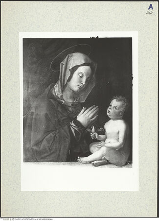 Vorderseite von bh309807_recto