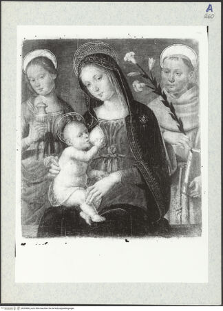 Vorderseite von bh309886_recto