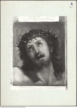 Vorderseite von bh309984_recto