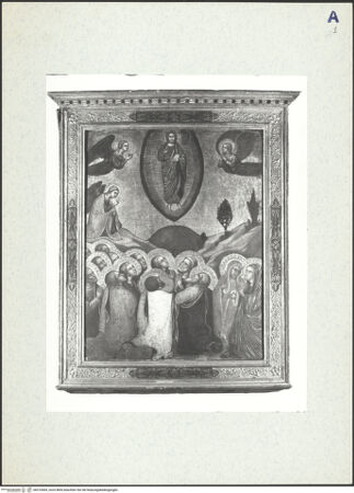 Vorderseite von bh310009_recto