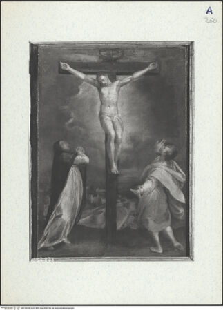 Vorderseite von bh310049_recto