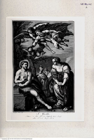 Vorderseite von bh310061