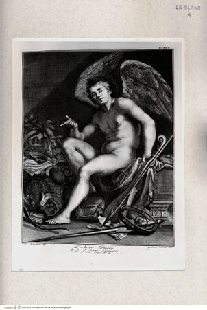 Vorderseite von bh310065