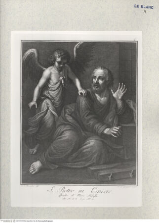 Vorderseite von bh310109