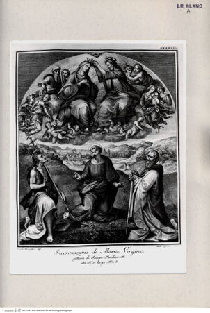 Vorderseite von bh310145