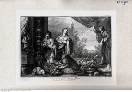 Vorderseite von bh310170