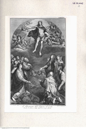 Vorderseite von bh310181