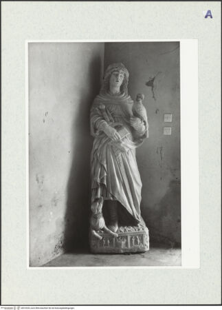 Vorderseite von bh310325_recto